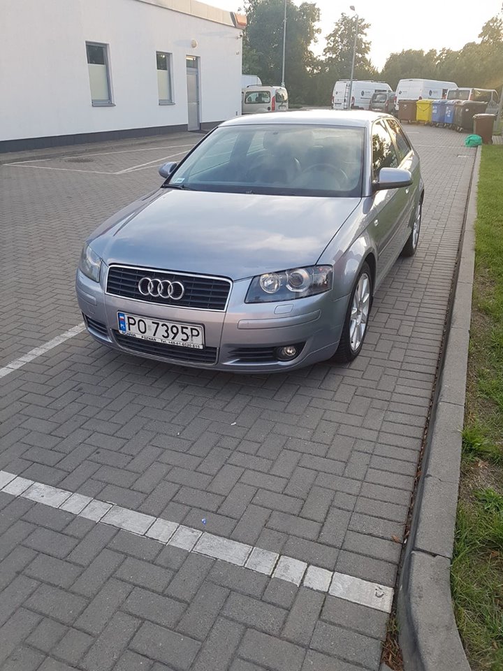 audi a3 8P cena ustawienia geometrii kół